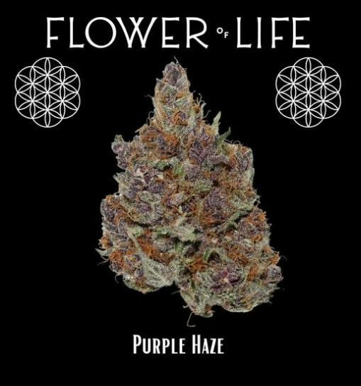 Flower of Life Bulk Flower - Purple Haze