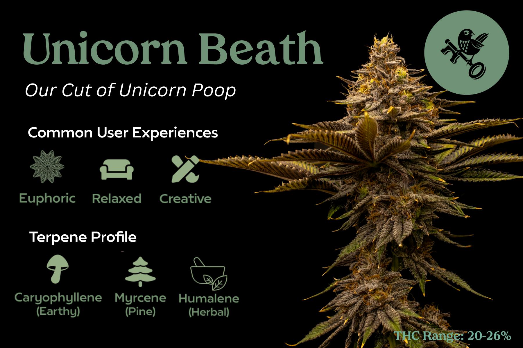 Unicorn Breath- Franklin Fields Flower