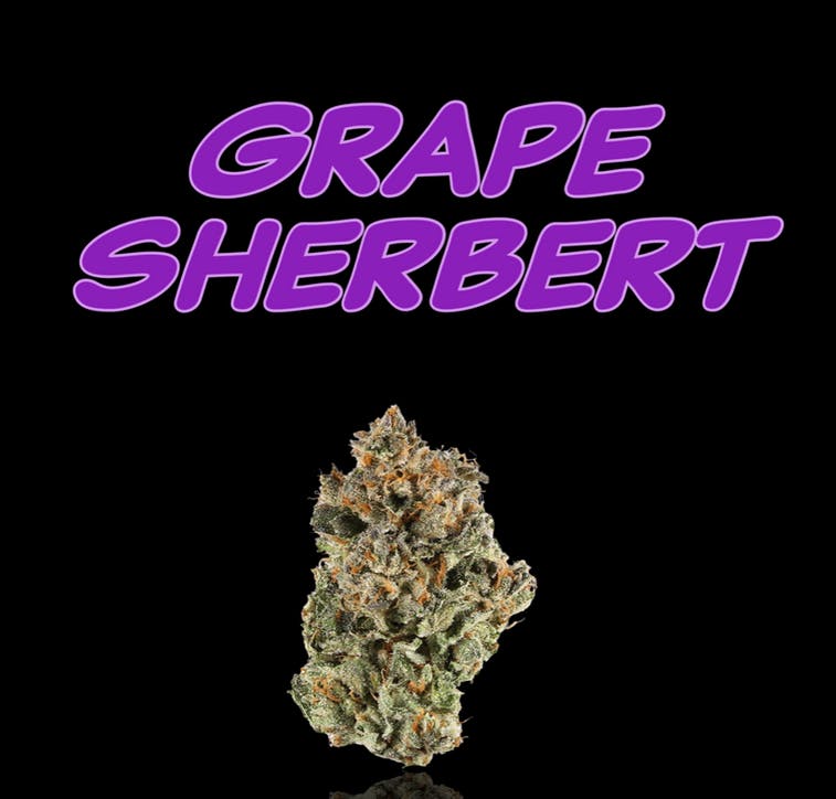 Collective Grape Sherbet