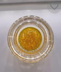 High Minded Live Resin 1g - Gelatti