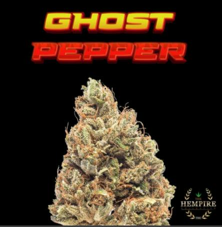 Ghost Pepper 1g Hempire Collective Preroll