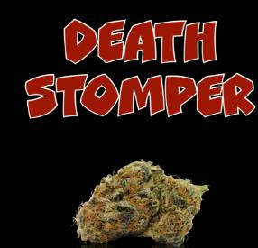 Deathstomper 1g Hempire Collective Preroll
