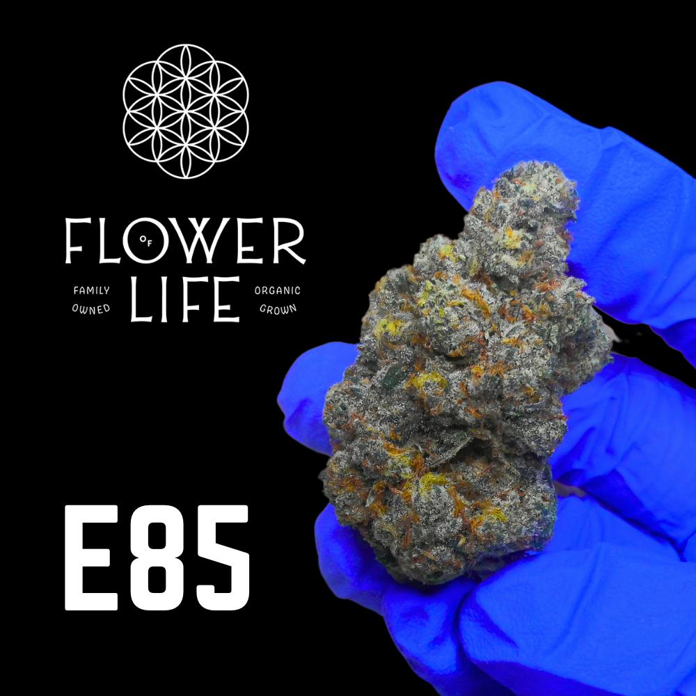 Flower of Life Bulk Flower - E85