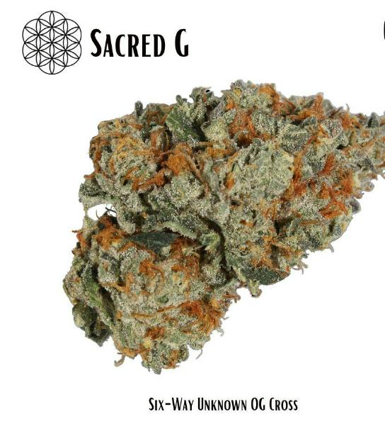 Flower of Life Bulk- Sacred G