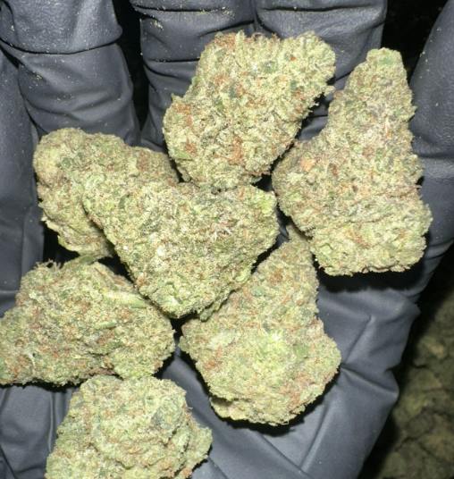 Jokerz #99-High Minded