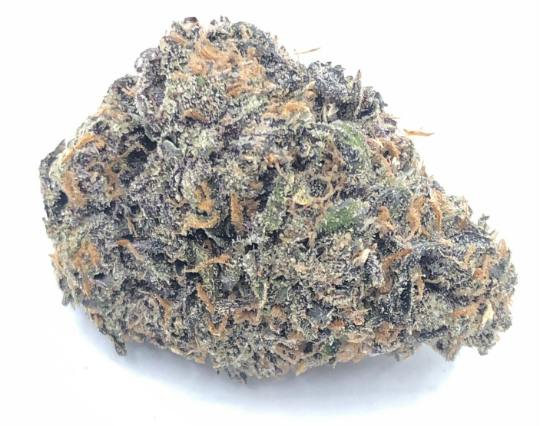 Project Z Chronicseur Bulk