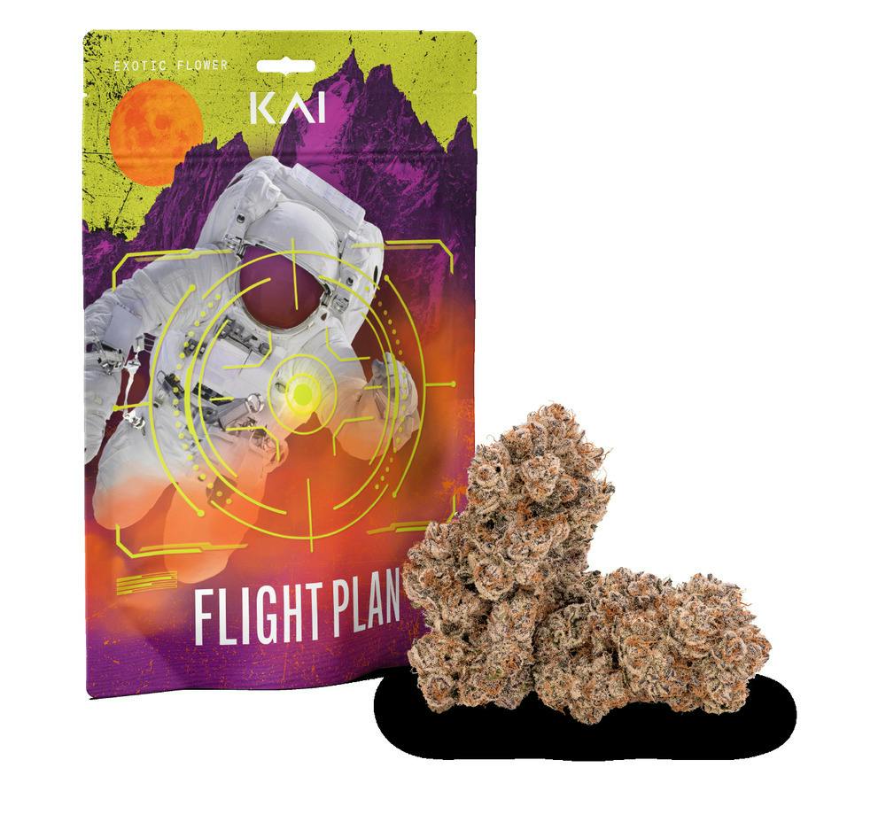 Flight Plan Bulk (H)