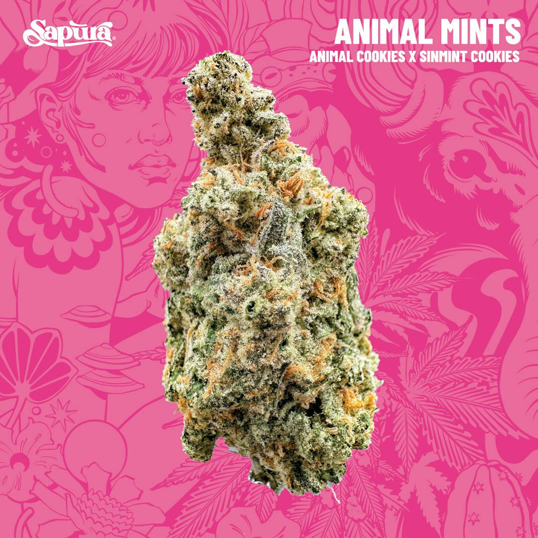 Animal Mints Bulk (I)