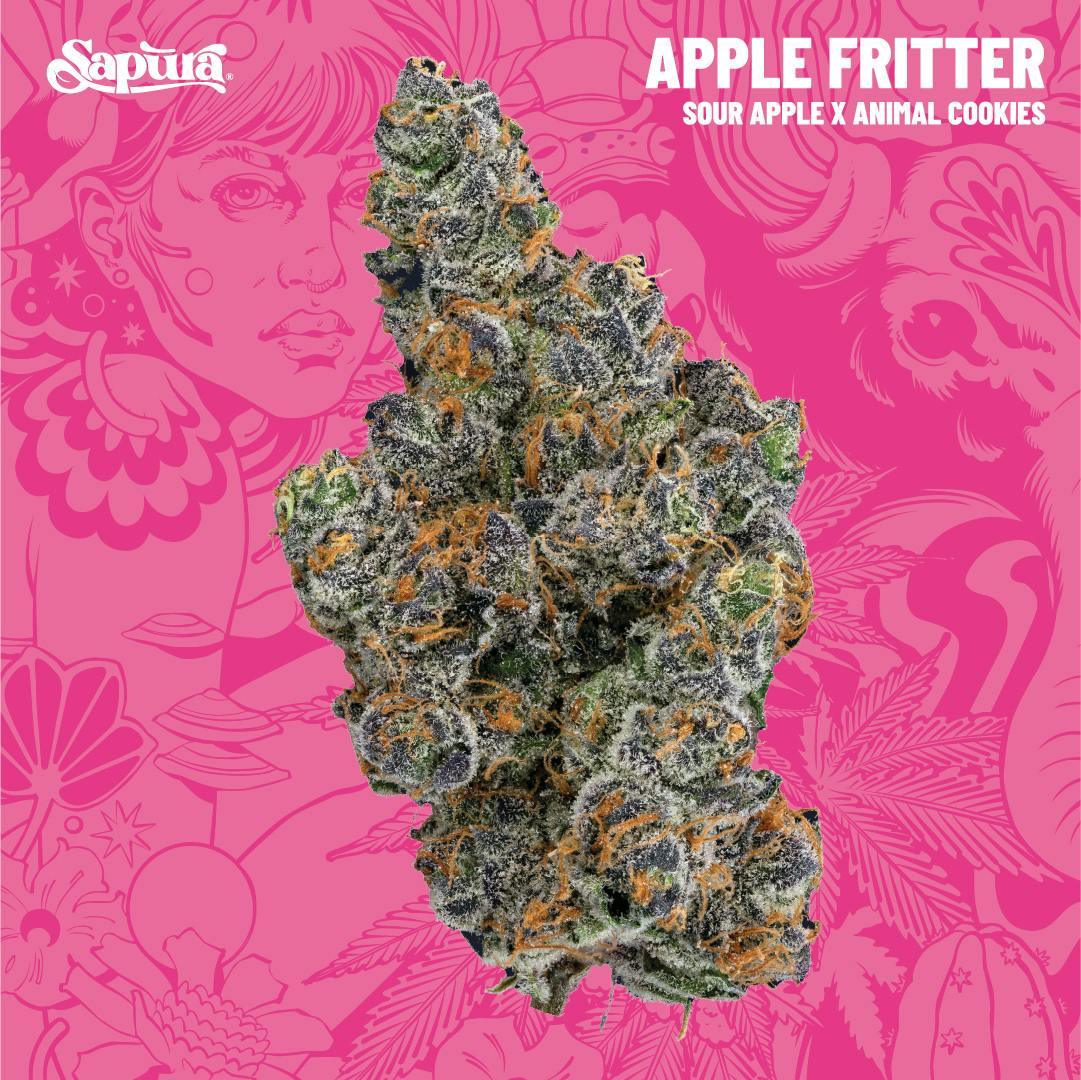 Apple Fritter Smalls Bulk (H)