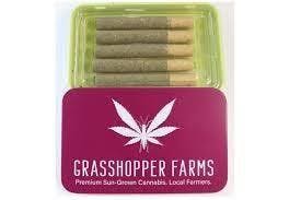 Strawberry Sunrise Infused PR 1g (5pk) (H)