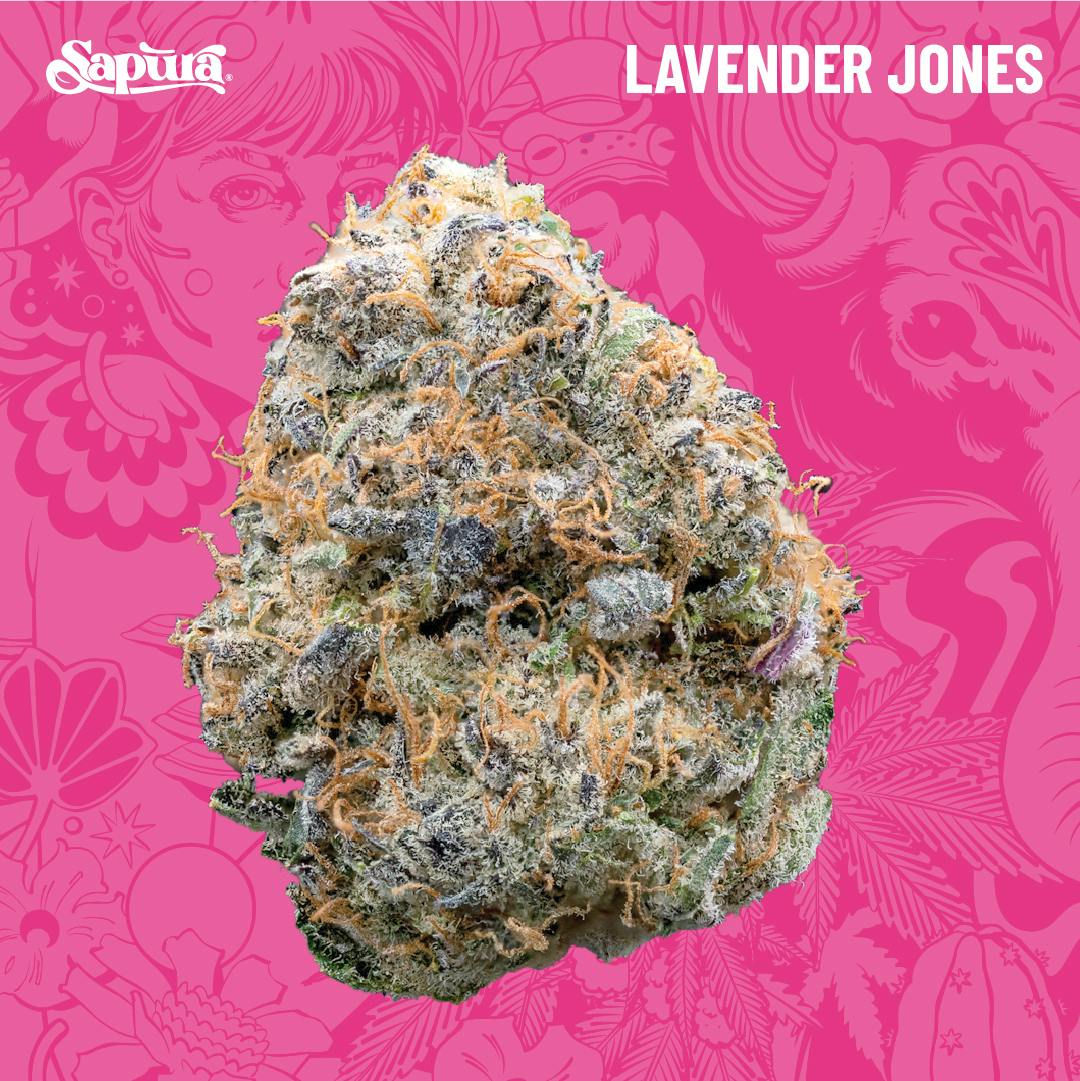 Lavender Jones Bulk (I)