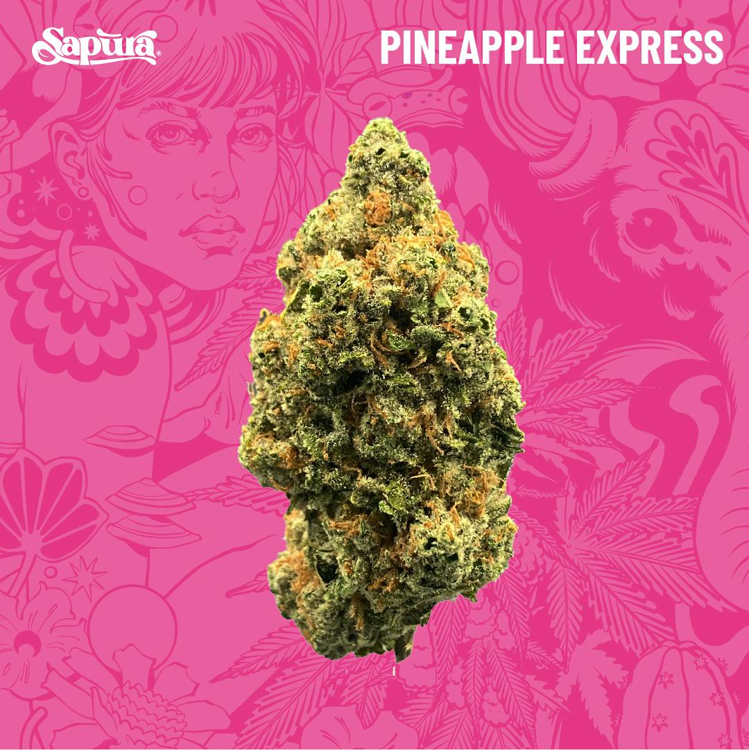 Pineapple Express Smalls Bulk (S)