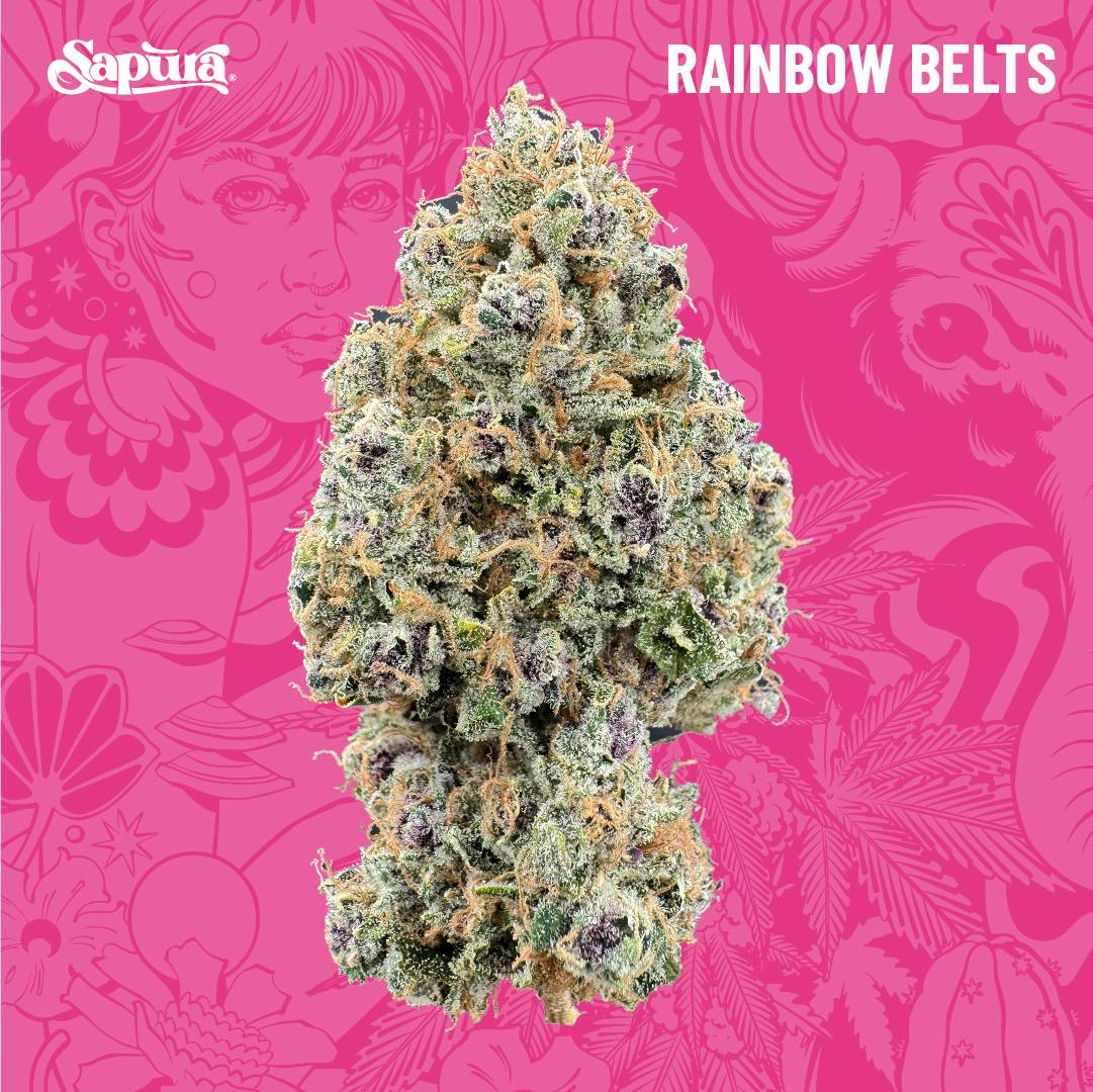 Rainbow Belts Smalls Bulk (I)