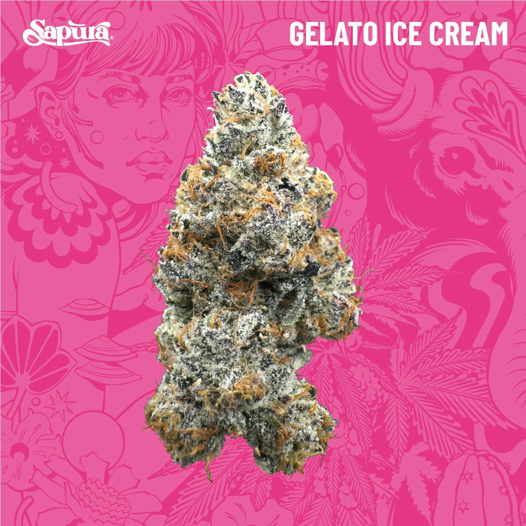 Gelato Ice Cream Smalls Bulk (I)