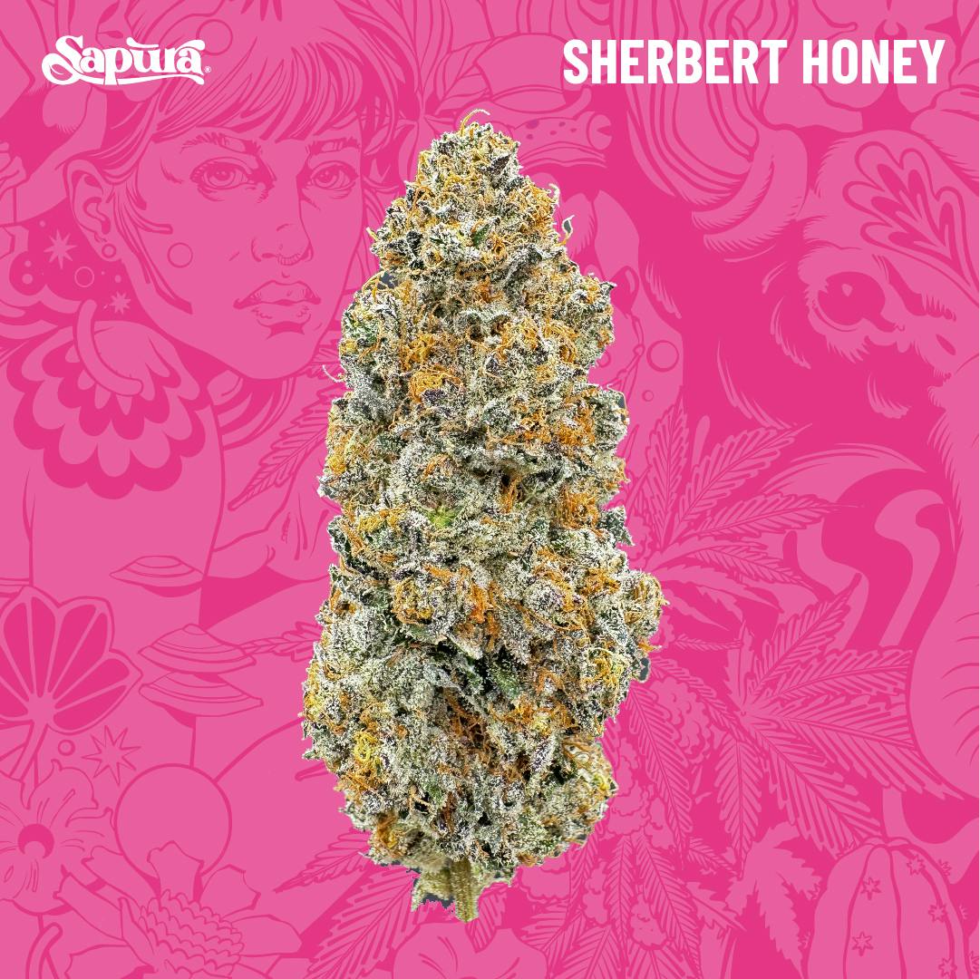 Sherbert Honey Smalls Bulk (S)