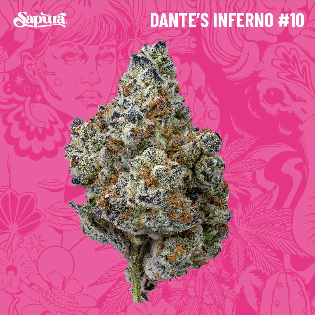 Dante's Inferno #10 Smalls Bulk (H)