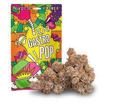 Gastro Pop Bulk (I)
