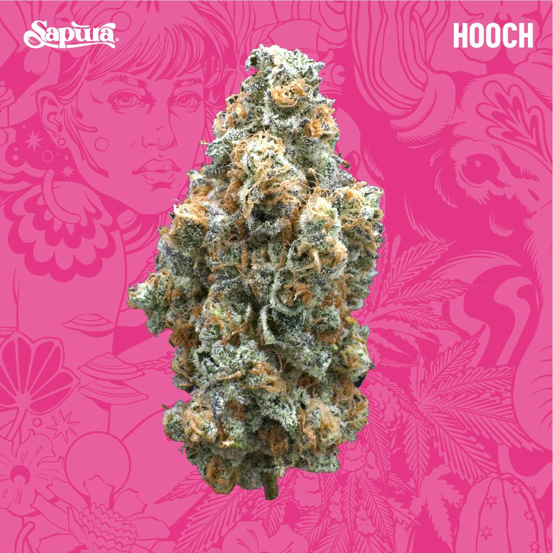 Hooch Smalls Bulk (I)