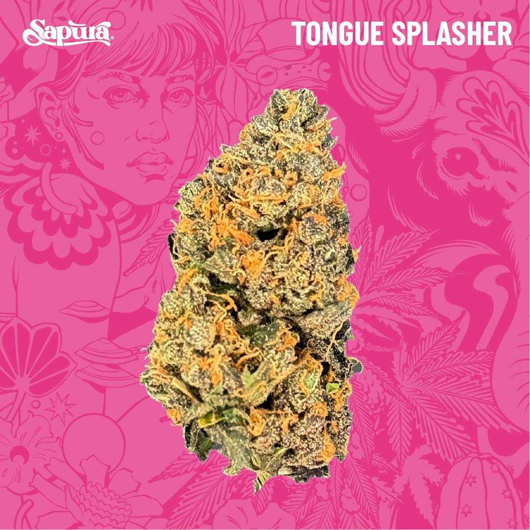 Tongue Splasher Smalls Bulk (S)