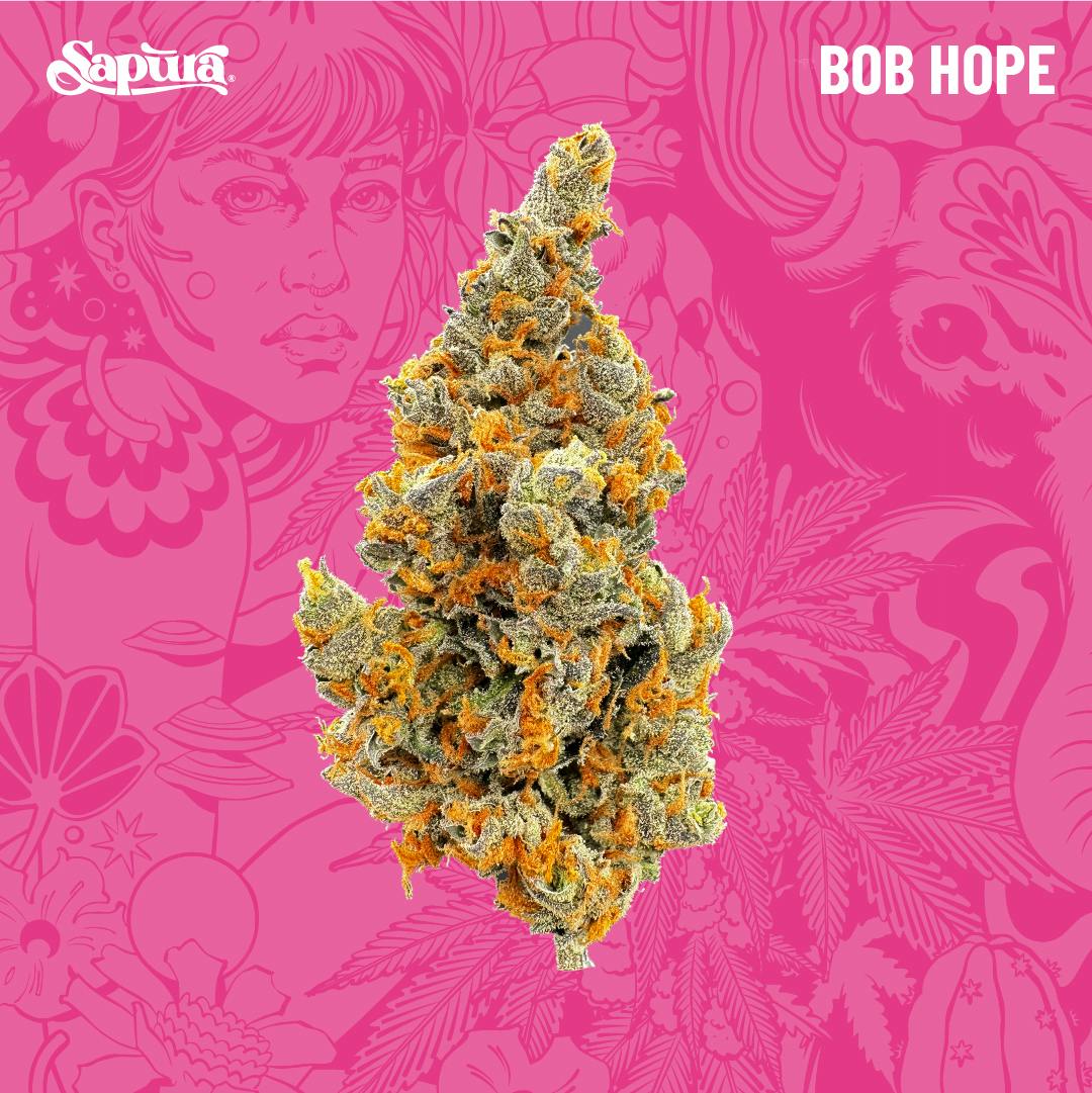 Bob Hope Bulk (S)