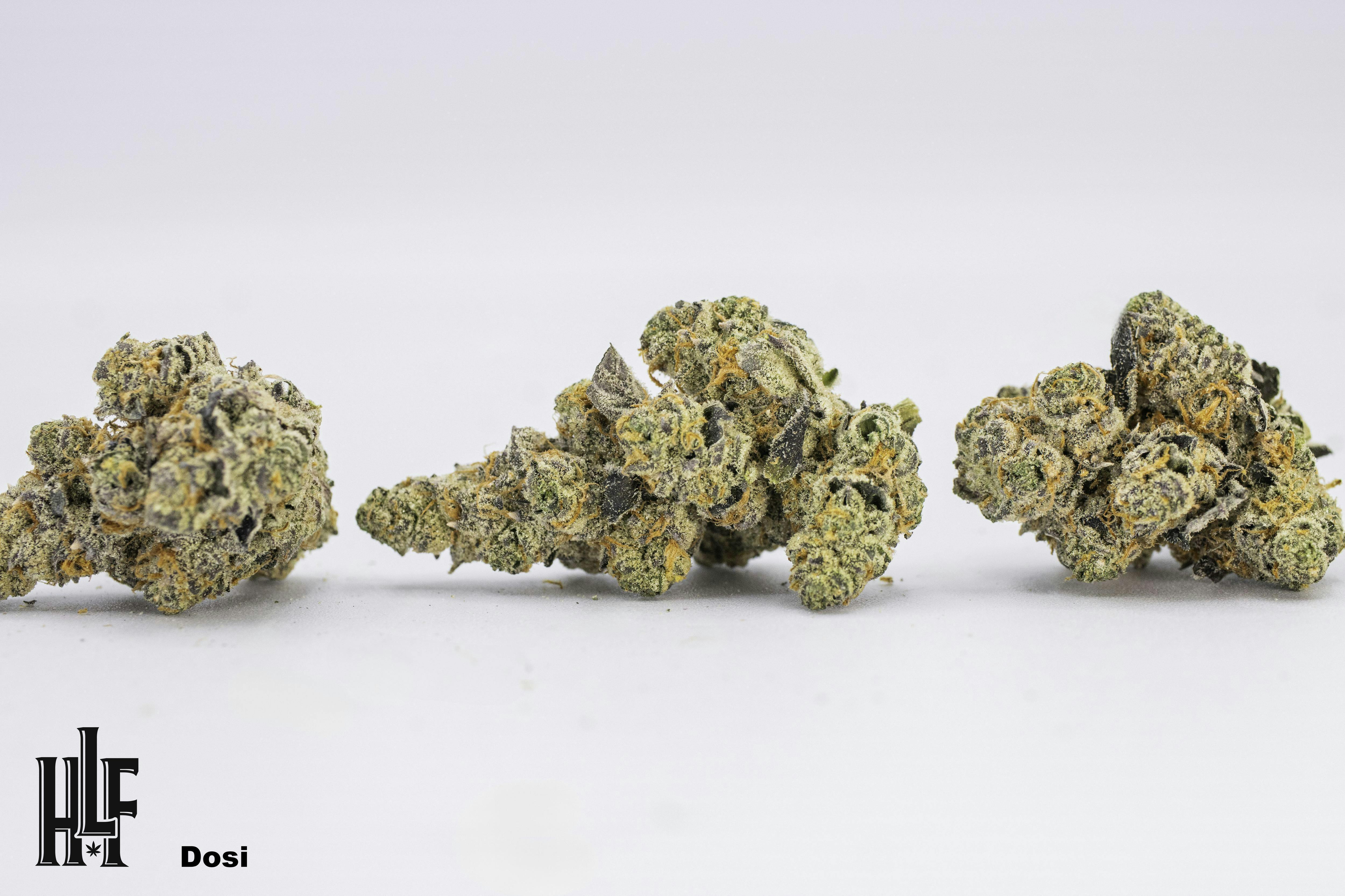 Dosi Do | Bulk Flower | High Life Farms
