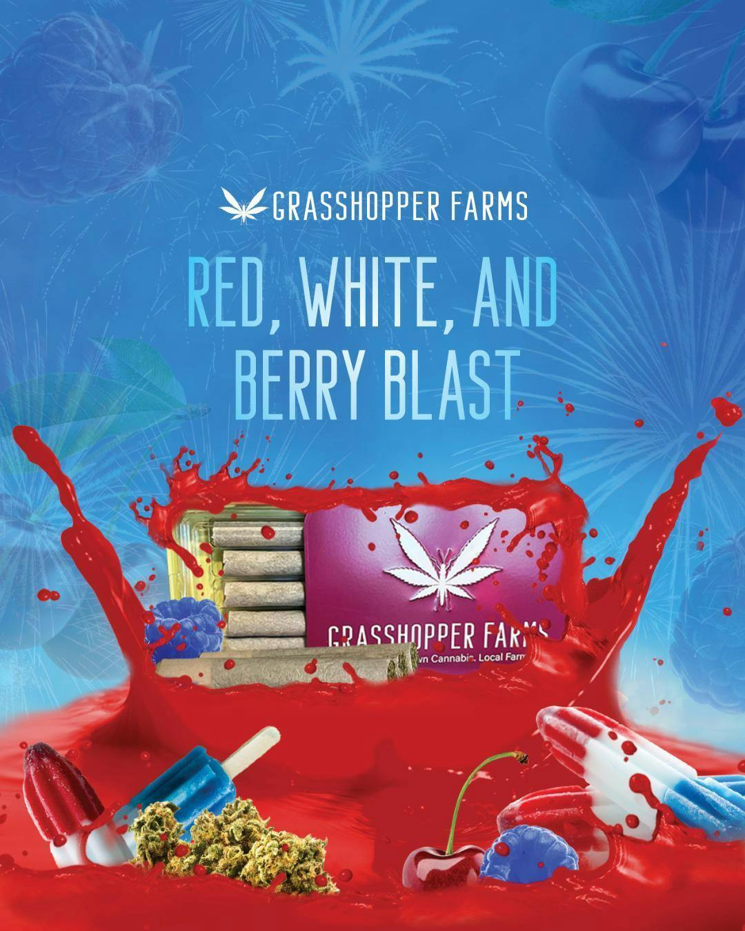Grasshopper Farms | Red White and Berry Blast | 1g Infused Preroll