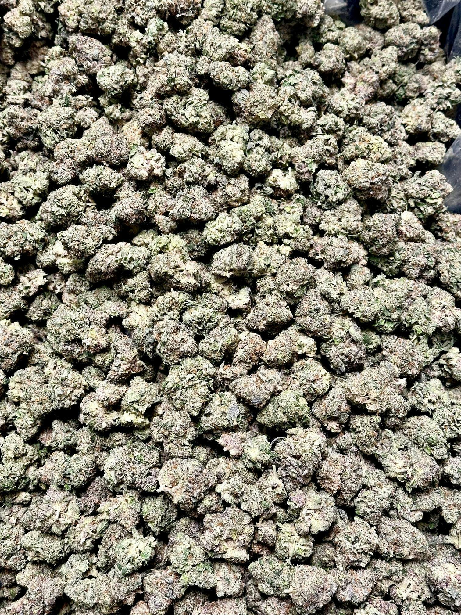 Super Secret | Bulk Flower | Harbor Farmz