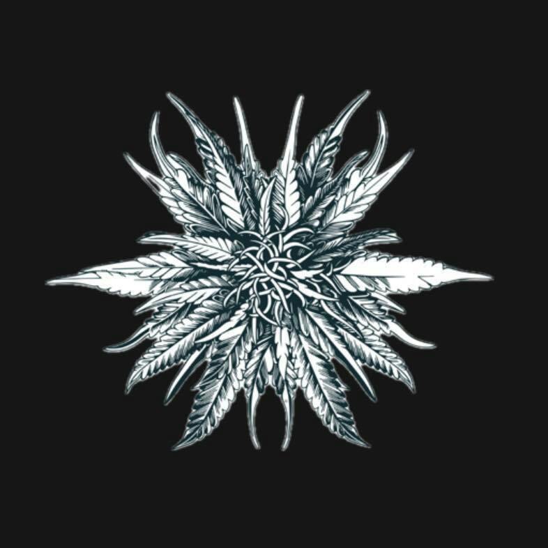 Jelly Tree | Bulk Flower | Flos