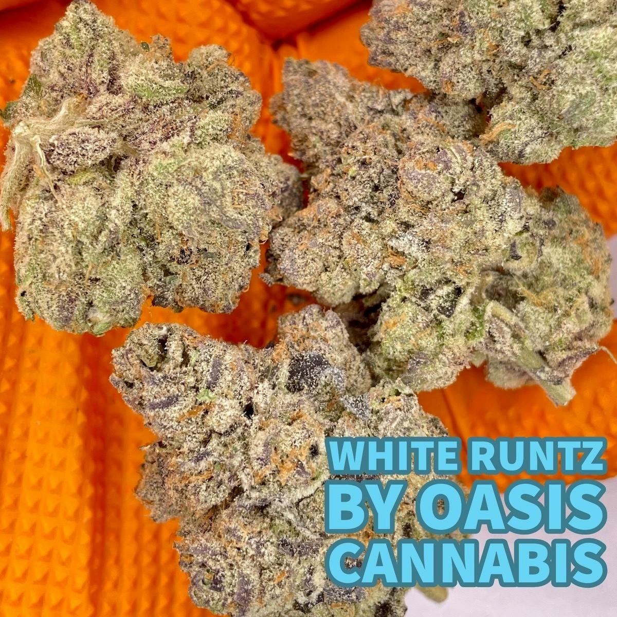 White Runtz Oasis Flower (3.5g)
