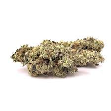 Donny Burger Flower (3.5g)