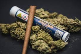 Daytona Diesel Blunt (1g)