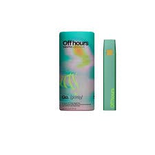 Go Party All In One Vape Pen (0.5g)
