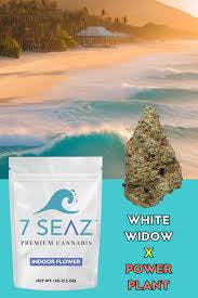 White Widow Flower (2g)