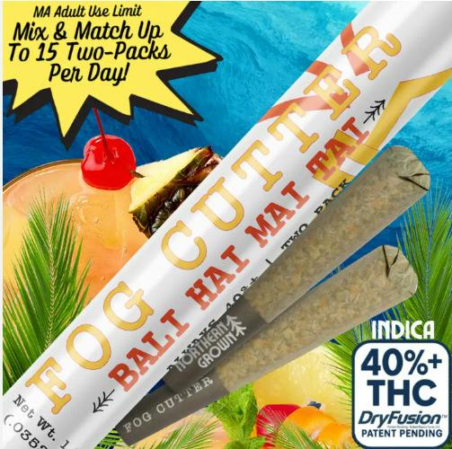 Bali Hai Mai Ta | 1g | 2pk | Infused Pre-Roll