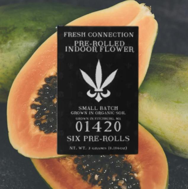 Black Papaya | 3g | 6pk | Pre-Rolls