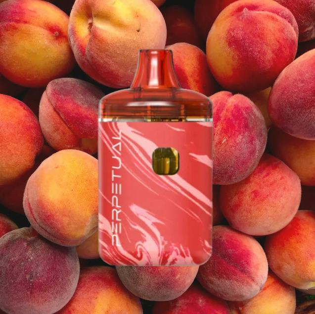 Ruby Peach | 1g | Disposable