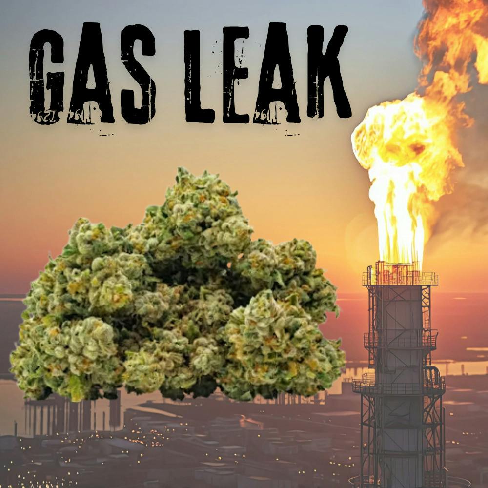 Gas Leak | 3.5g | Flower