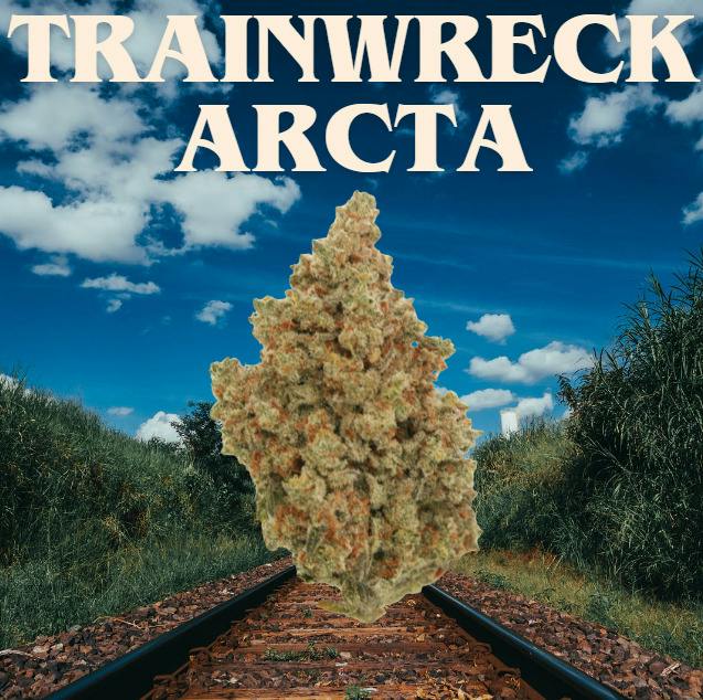 Trainwreck Arcata | 3.5g | Flower