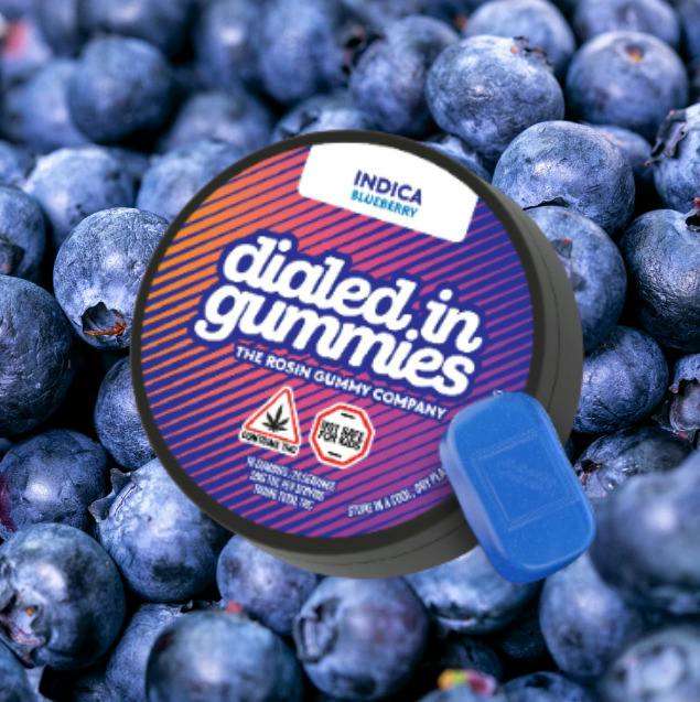 Blueberry | Rosin Gummies | 100mg | Indica
