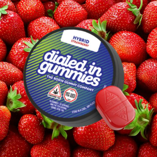 Strawberry | Rosin Gummies | 100mg | Hybrid
