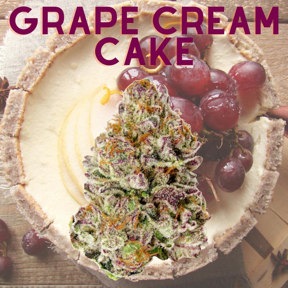 Grape Cream Cake | 3.5g | Flower