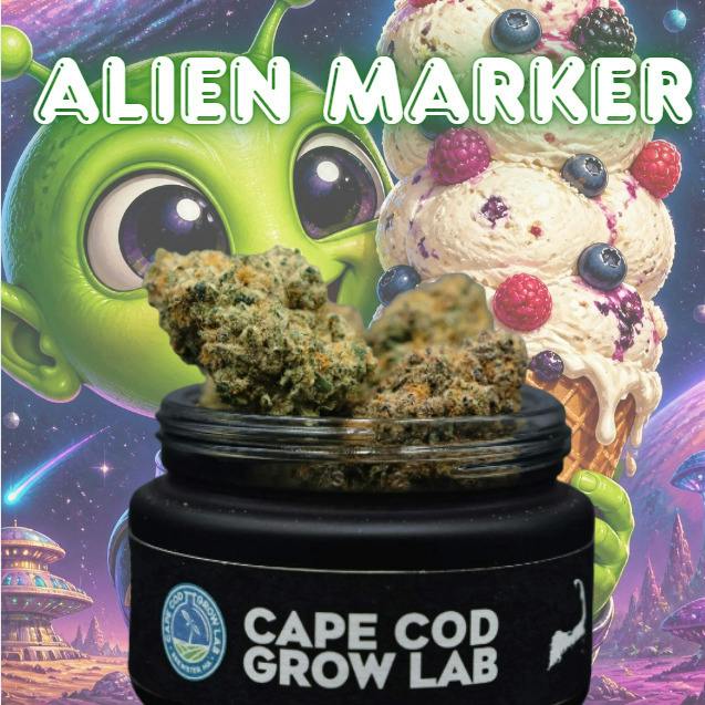 Alien Marker | 3.5g | Flower