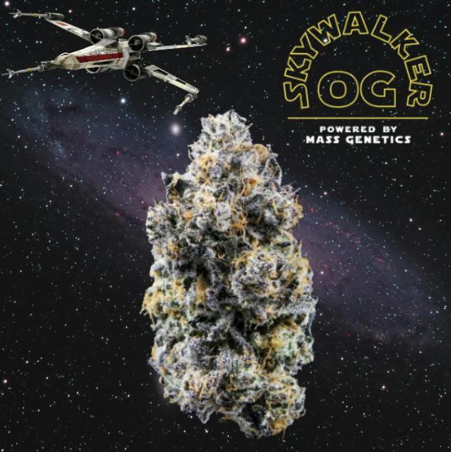 Skywalker OG | 3.5g | Flower