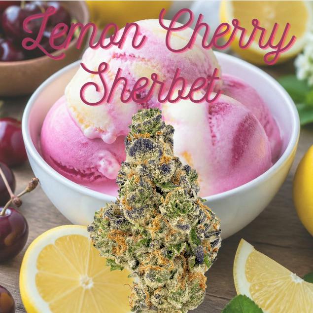 Lemon Cherry Sherbert | 3.5g | Flower