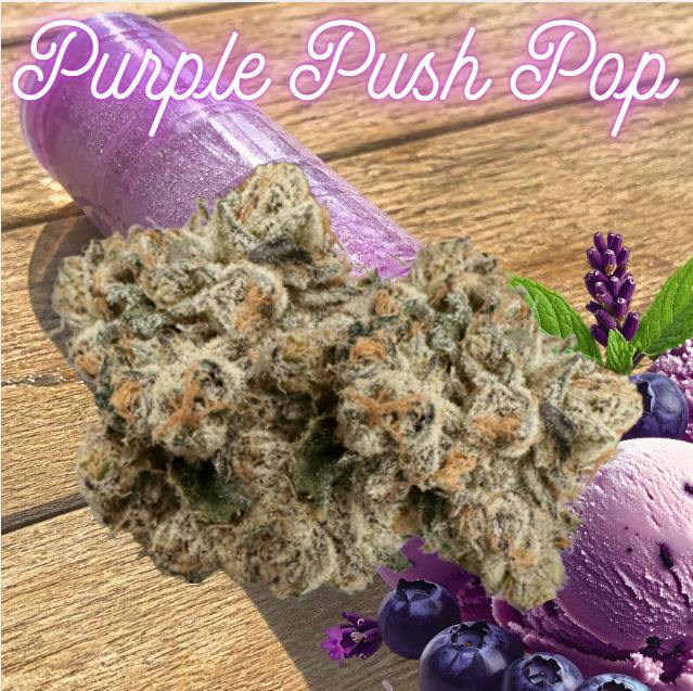 Purple Push Pop | 3.5g | Flower