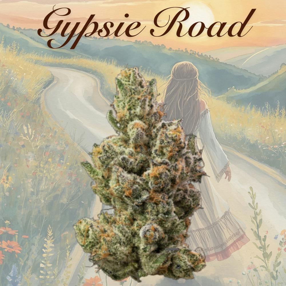Gypsie Road | 3.5g | Flower