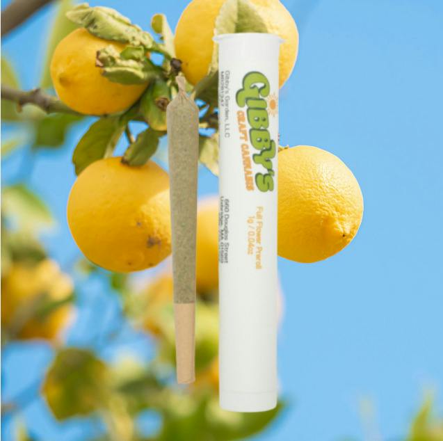 Super Lemon Haze | 1g | Pre-Roll