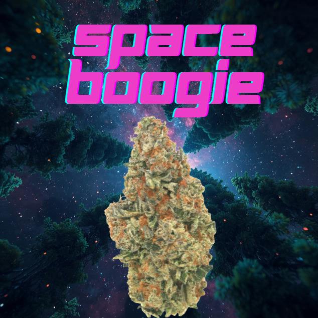 Space Boogie | 3.5g | Flower