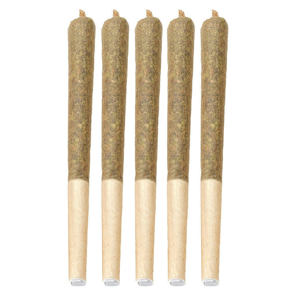 Moby Dick Preroll 5x.5g - Moby Dick Pre-Roll 5x0.5g Pre-Rolls