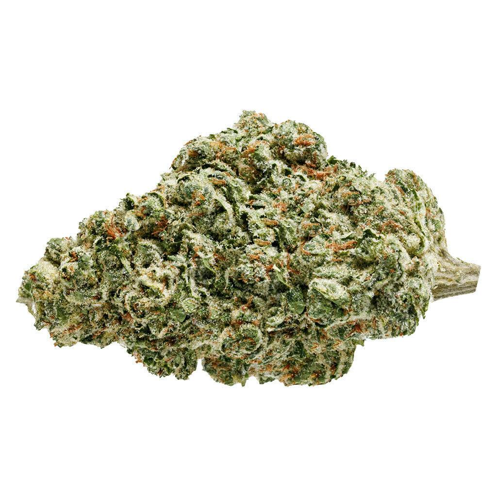 White Fire OG 28g - White Fire OG 28g Dried Flower